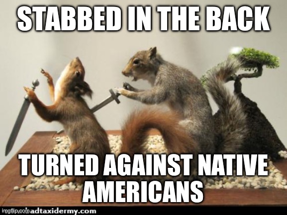 taxidermy squirrel backstab | STABBED IN THE BACK; TURNED AGAINST NATIVE
AMERICANS | image tagged in taxidermy squirrel backstab | made w/ Imgflip meme maker