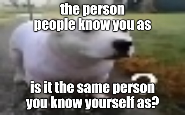 huh | the person people know you as; is it the same person you know yourself as? | image tagged in huh | made w/ Imgflip meme maker