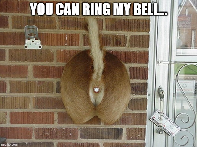 Doorbell | YOU CAN RING MY BELL... | image tagged in cursed image | made w/ Imgflip meme maker