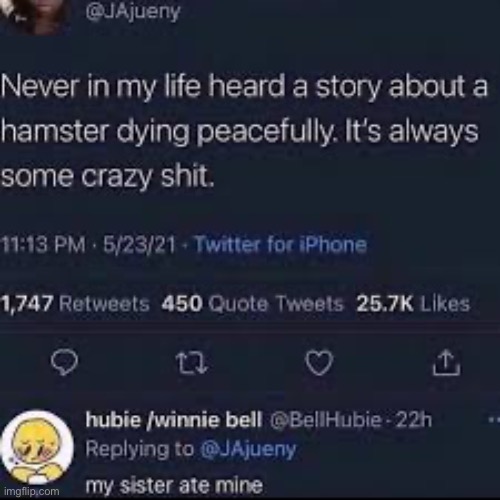 NO NOT THE HAMSTER | image tagged in memes | made w/ Imgflip meme maker
