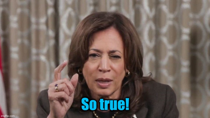 Drunk Kamala Wisdom | So true! | image tagged in drunk kamala wisdom | made w/ Imgflip meme maker