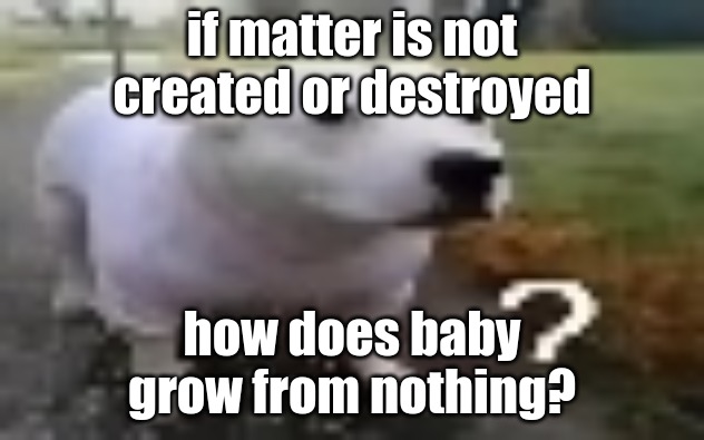 huh | if matter is not created or destroyed; how does baby grow from nothing? | image tagged in huh | made w/ Imgflip meme maker