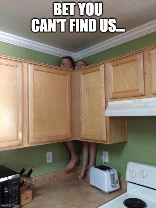 Hiding Spot | BET YOU CAN'T FIND US... | image tagged in funny,memes | made w/ Imgflip meme maker