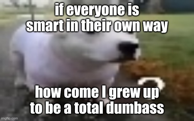 huh | if everyone is smart in their own way; how come I grew up to be a total dumbass | image tagged in huh | made w/ Imgflip meme maker