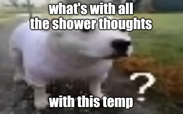 huh | what's with all the shower thoughts; with this temp | image tagged in huh | made w/ Imgflip meme maker