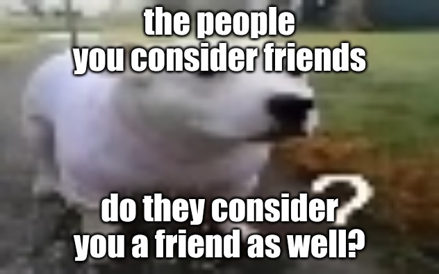 huh | the people you consider friends; do they consider you a friend as well? | image tagged in huh | made w/ Imgflip meme maker