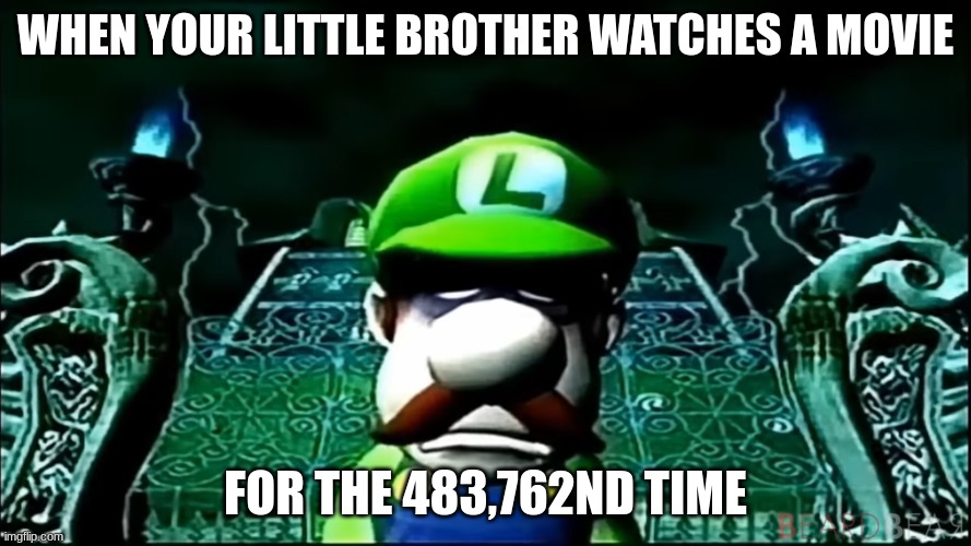 Movie LM | WHEN YOUR LITTLE BROTHER WATCHES A MOVIE; FOR THE 483,762ND TIME | image tagged in luigi | made w/ Imgflip meme maker