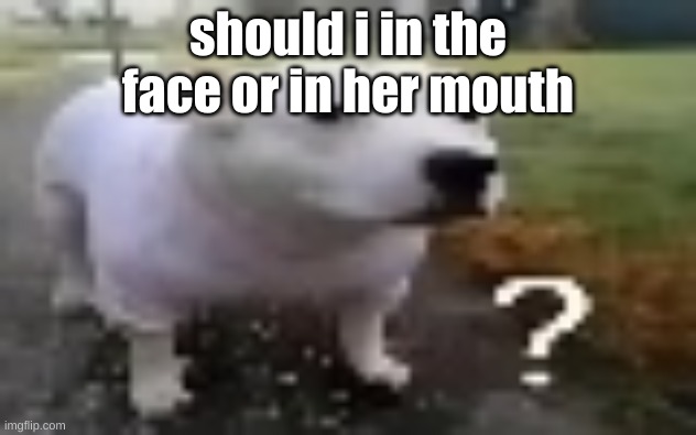 huh | should i in the face or in her mouth | image tagged in huh | made w/ Imgflip meme maker