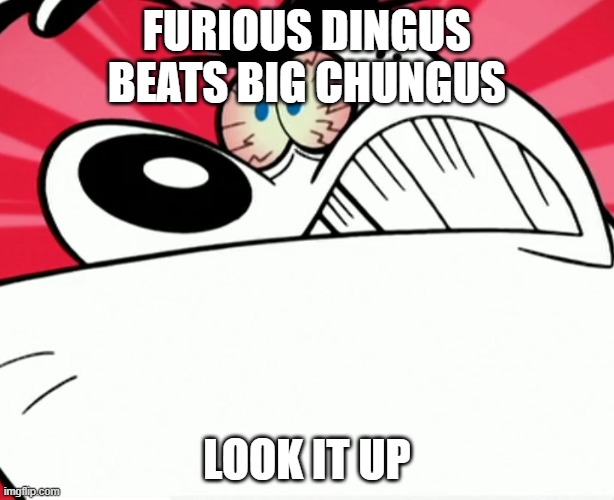 a fun fact by furious dingus | FURIOUS DINGUS BEATS BIG CHUNGUS; LOOK IT UP | image tagged in furious dingus,memes,fun facts | made w/ Imgflip meme maker