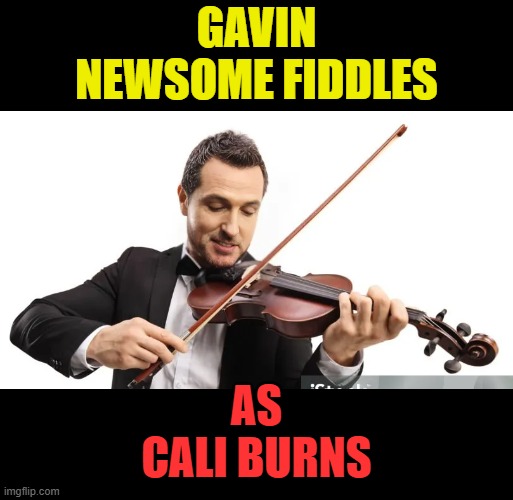 maybe if the FD had some of the pelosi family stolen money things wouldnt be as bad.. aunt nancy has 7 mansions. | GAVIN NEWSOME FIDDLES; AS CALI BURNS | image tagged in newsome,pelosi,corruption,burns,california | made w/ Imgflip meme maker