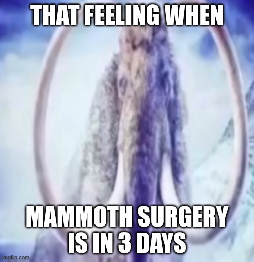 I had to | THAT FEELING WHEN; MAMMOTH SURGERY IS IN 3 DAYS | image tagged in mammoth | made w/ Imgflip meme maker