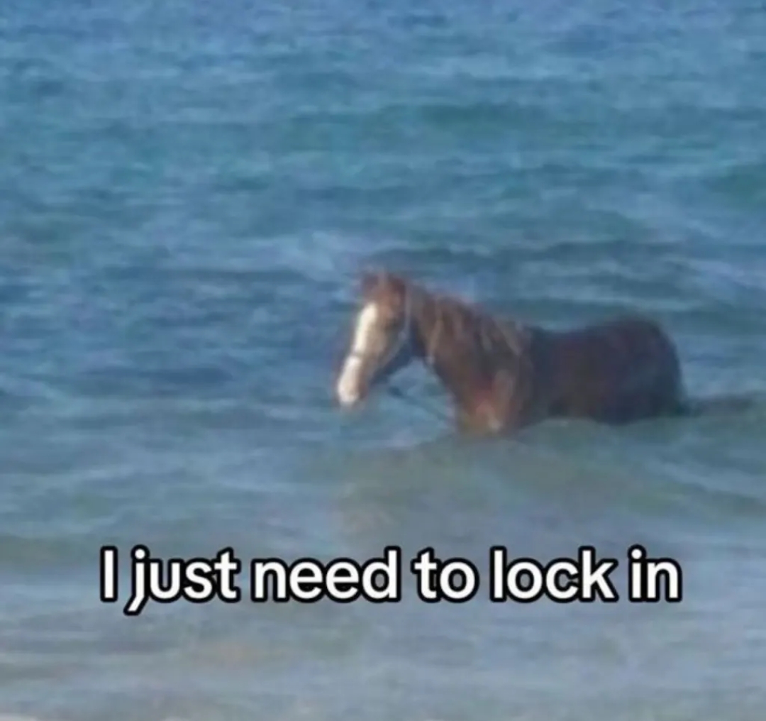 i just need to lock in (horse) Blank Meme Template