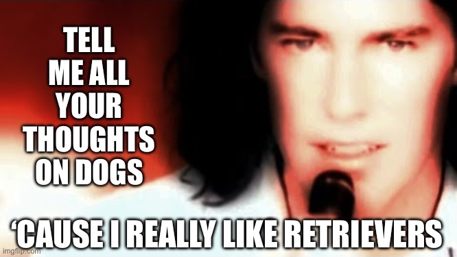 Misheard lyrics Dishwalla edition | TELL ME ALL YOUR THOUGHTS ON DOGS; ‘CAUSE I REALLY LIKE RETRIEVERS | image tagged in dishwalla,misheard lyrics,thoughts,dogs | made w/ Imgflip meme maker