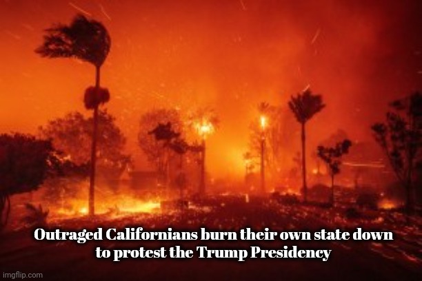 TDS kills braincells | Outraged Californians burn their own state down
 to protest the Trump Presidency | image tagged in never-trumpers,morons,destruction 100,fiery but mostly peaceful,liberal logic | made w/ Imgflip meme maker