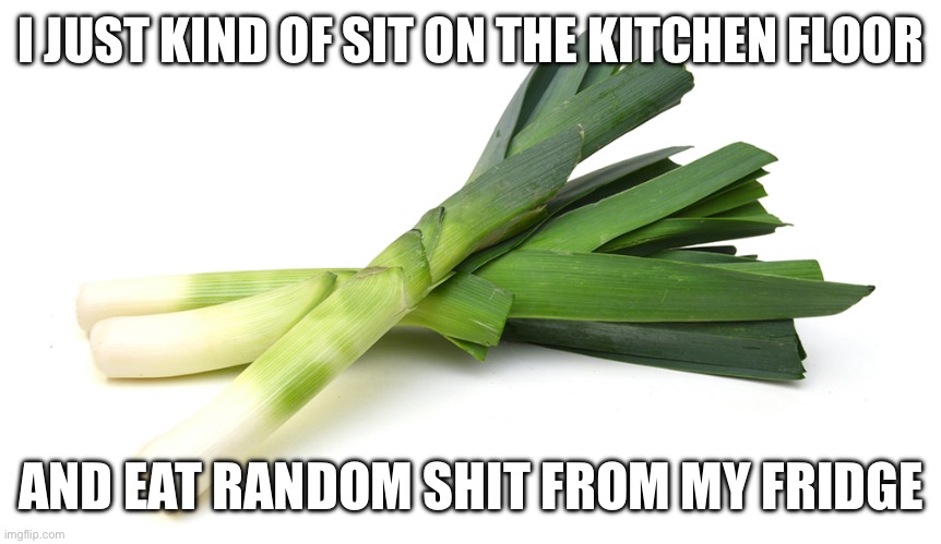 Leeks | I JUST KIND OF SIT ON THE KITCHEN FLOOR; AND EAT RANDOM SHIT FROM MY FRIDGE | image tagged in leeks | made w/ Imgflip meme maker