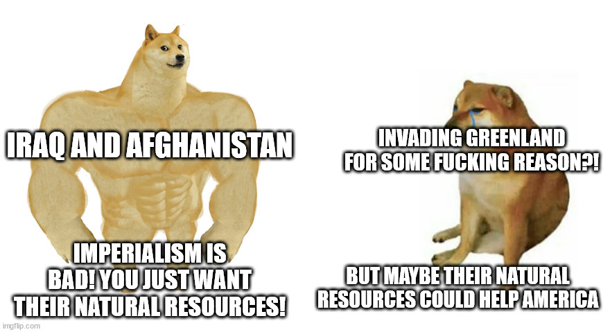 small doge big doge | INVADING GREENLAND FOR SOME FUCKING REASON?! IRAQ AND AFGHANISTAN; IMPERIALISM IS BAD! YOU JUST WANT THEIR NATURAL RESOURCES! BUT MAYBE THEIR NATURAL RESOURCES COULD HELP AMERICA | image tagged in small doge big doge | made w/ Imgflip meme maker