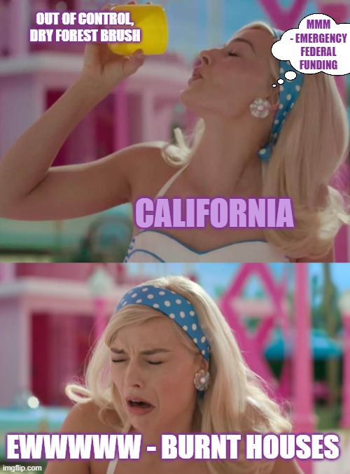 Barbiefornia | MMM - EMERGENCY FEDERAL FUNDING; OUT OF CONTROL, DRY FOREST BRUSH; CALIFORNIA; EWWWWW - BURNT HOUSES | image tagged in barbie drink | made w/ Imgflip meme maker