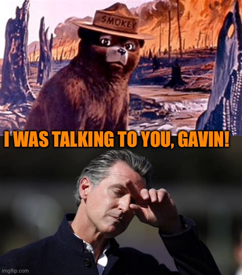 How to destroy a State | I WAS TALKING TO YOU, GAVIN! | image tagged in gifs,california,california fires,wildfires,incompetence,democrats | made w/ Imgflip meme maker