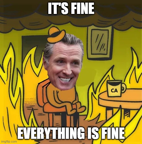 IT'S FINE; EVERYTHING IS FINE | made w/ Imgflip meme maker