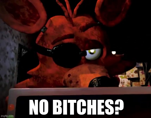 New reaction image just dropped | NO BITCHES? | image tagged in fnaf,no bitches | made w/ Imgflip meme maker