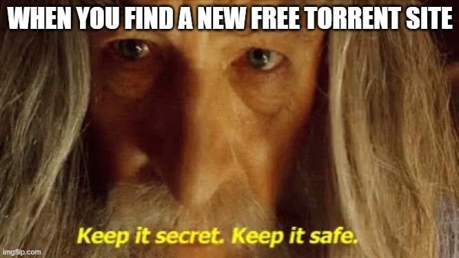 Those new torrents sites... | WHEN YOU FIND A NEW FREE TORRENT SITE | image tagged in gandalf keep it secret keep it safe | made w/ Imgflip meme maker