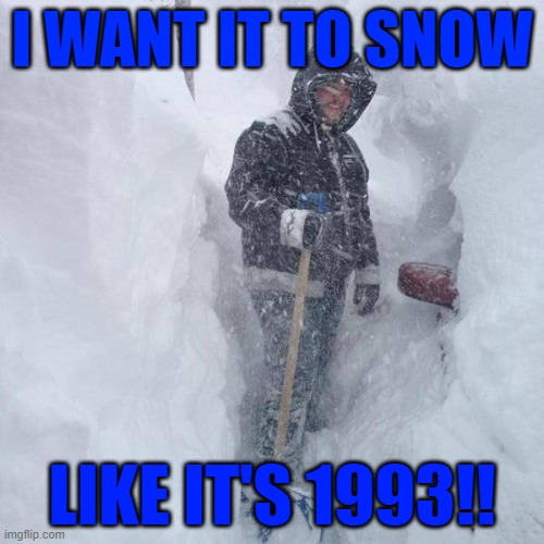 blizzard of '93 | I WANT IT TO SNOW; LIKE IT'S 1993!! | image tagged in snow | made w/ Imgflip meme maker