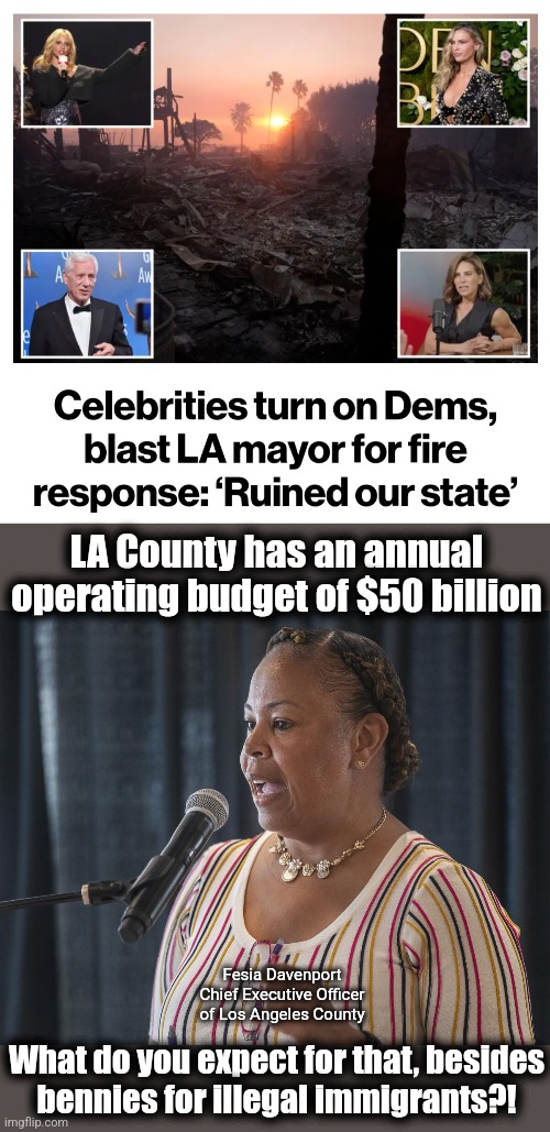 Massive funding, but massive democrat incompetence | LA County has an annual
operating budget of $50 billion; Fesia Davenport
Chief Executive Officer
of Los Angeles County; What do you expect for that, besides
bennies for illegal immigrants?! | image tagged in memes,actors,los angeles,wildfires,democrats,incompetence | made w/ Imgflip meme maker