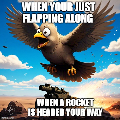 bird rocket | WHEN YOUR JUST FLAPPING ALONG; WHEN A ROCKET IS HEADED YOUR WAY | image tagged in fire,rocket,bird | made w/ Imgflip meme maker