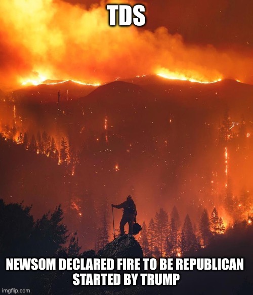 La fire | TDS | image tagged in la firr,memes,funny,gifs | made w/ Imgflip meme maker