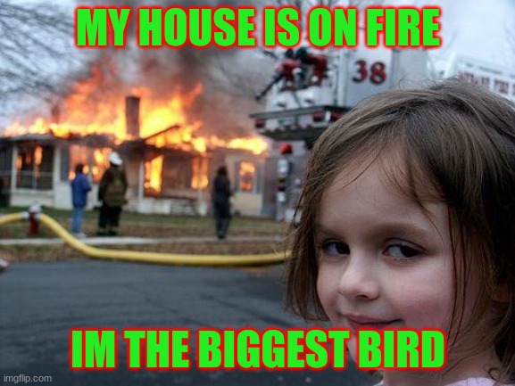 Disaster Girl Meme | MY HOUSE IS ON FIRE; IM THE BIGGEST BIRD | image tagged in memes,disaster girl | made w/ Imgflip meme maker