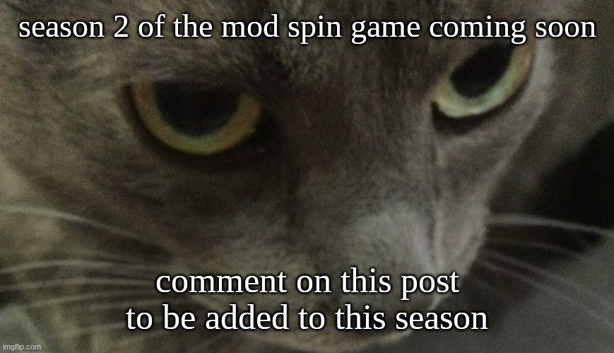 Sweetie | season 2 of the mod spin game coming soon; comment on this post to be added to this season | image tagged in sweetie | made w/ Imgflip meme maker