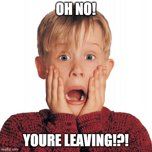 OH NO! YOURE LEAVING!?! | image tagged in home alone face | made w/ Imgflip meme maker