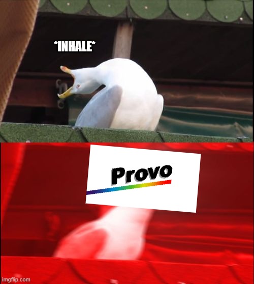 POV: When Someone ask me my Favorite flag | *INHALE* | image tagged in screaming seagull,provo,flag,vexillology,flags,ugly flag | made w/ Imgflip meme maker