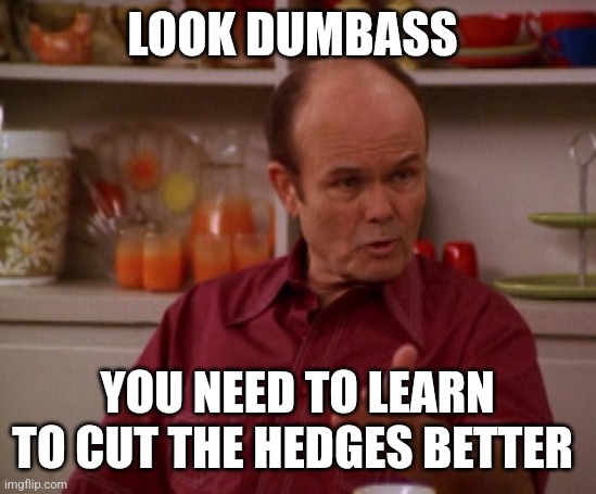 Learn to cut the hedges | LOOK DUMBASS; YOU NEED TO LEARN TO CUT THE HEDGES BETTER | image tagged in that 70's show,funny memes | made w/ Imgflip meme maker