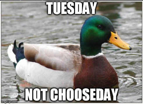 Actual Advice Mallard | TUESDAY NOT CHOOSEDAY | image tagged in memes,actual advice mallard | made w/ Imgflip meme maker