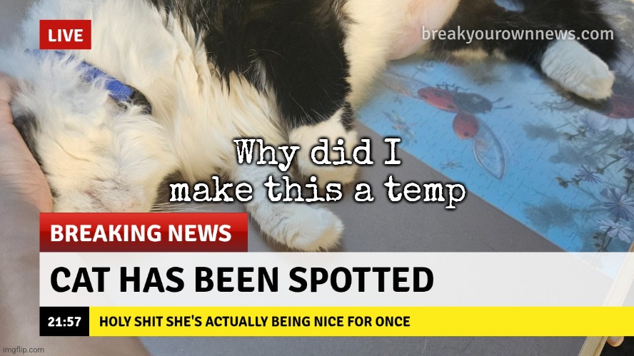 cat has been spotted | Why did I make this a temp | image tagged in cat has been spotted | made w/ Imgflip meme maker