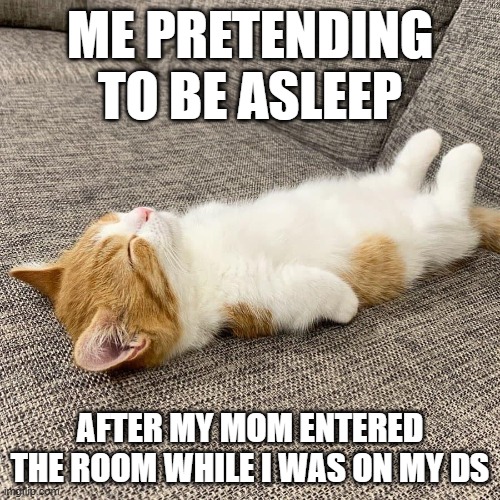 nostalgia | ME PRETENDING TO BE ASLEEP; AFTER MY MOM ENTERED THE ROOM WHILE I WAS ON MY DS | image tagged in eepy kitty | made w/ Imgflip meme maker