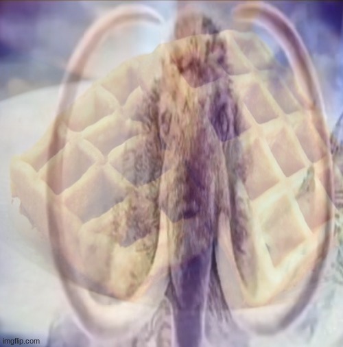 Wafflmoth | image tagged in wafflmoth | made w/ Imgflip meme maker