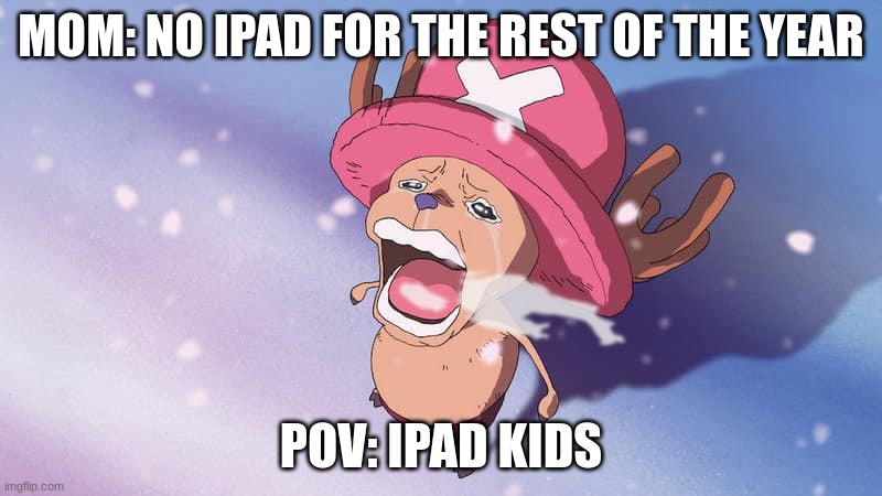 chooper | MOM: NO IPAD FOR THE REST OF THE YEAR; POV: IPAD KIDS | image tagged in crying chopper one piece,one piece,chooper,chopper,renideer | made w/ Imgflip meme maker