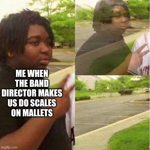 disappearing  | ME WHEN THE BAND DIRECTOR MAKES US DO SCALES ON MALLETS | image tagged in disappearing | made w/ Imgflip meme maker