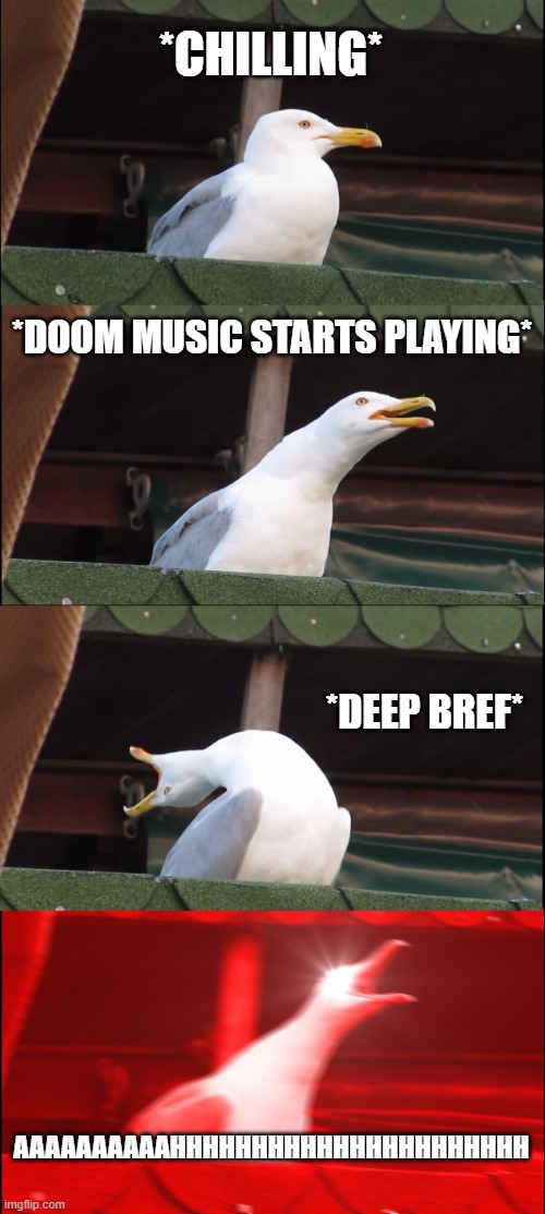 Inhaling Seagull | *CHILLING*; *DOOM MUSIC STARTS PLAYING*; *DEEP BREF*; AAAAAAAAAAHHHHHHHHHHHHHHHHHHHHHH | image tagged in memes,inhaling seagull | made w/ Imgflip meme maker