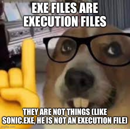 bathe in my knowledge | EXE FILES ARE EXECUTION FILES; THEY ARE NOT THINGS (LIKE SONIC.EXE, HE IS NOT AN EXECUTION FILE) | image tagged in nerd dog | made w/ Imgflip meme maker