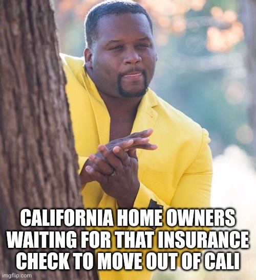 Black guy hiding behind tree | CALIFORNIA HOME OWNERS WAITING FOR THAT INSURANCE CHECK TO MOVE OUT OF CALI | image tagged in black guy hiding behind tree | made w/ Imgflip meme maker