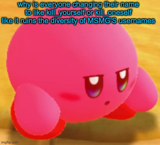 Sad Kirby | why is everyone changing their name to like kill_yourself or kill_oneself like it ruins the diversity of MSMG'S usernames | image tagged in sad kirby | made w/ Imgflip meme maker