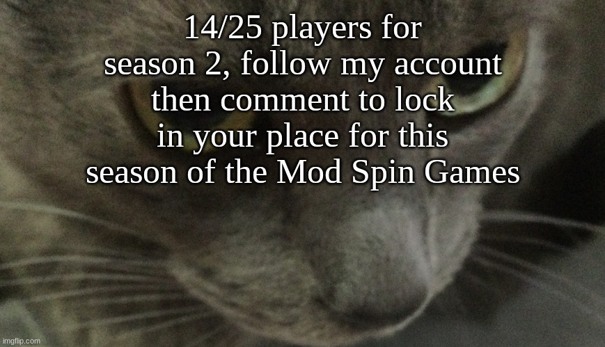 upvote too | 14/25 players for season 2, follow my account then comment to lock in your place for this season of the Mod Spin Games | image tagged in sweetie | made w/ Imgflip meme maker