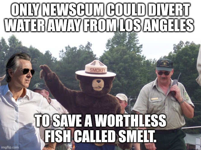 Just like Lahaina. Just like Fort MacMurray. Just like Jasper. | ONLY NEWSCUM COULD DIVERT WATER AWAY FROM LOS ANGELES; TO SAVE A WORTHLESS FISH CALLED SMELT. | made w/ Imgflip meme maker