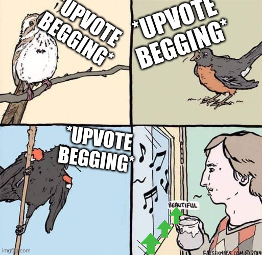 Singing Birds falseknees.com | *UPVOTE BEGGING*; *UPVOTE BEGGING*; *UPVOTE BEGGING* | made w/ Imgflip meme maker