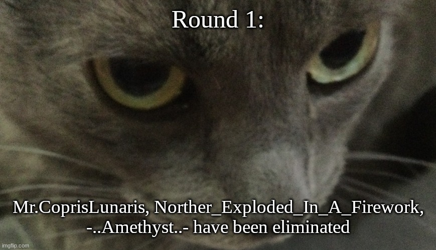 Sweetie | Round 1:; Mr.CoprisLunaris, Norther_Exploded_In_A_Firework, -..Amethyst..- have been eliminated | image tagged in sweetie | made w/ Imgflip meme maker