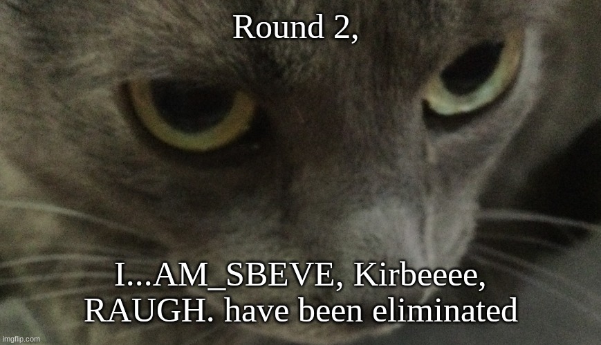 Sweetie | Round 2, I...AM_SBEVE, Kirbeeee, RAUGH. have been eliminated | image tagged in sweetie | made w/ Imgflip meme maker