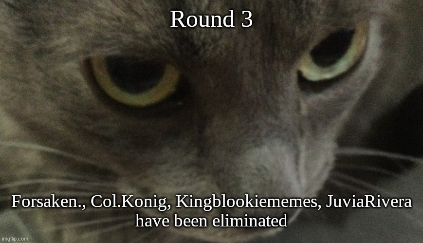 Sweetie | Round 3; Forsaken., Col.Konig, Kingblookiememes, JuviaRivera
have been eliminated | image tagged in sweetie | made w/ Imgflip meme maker